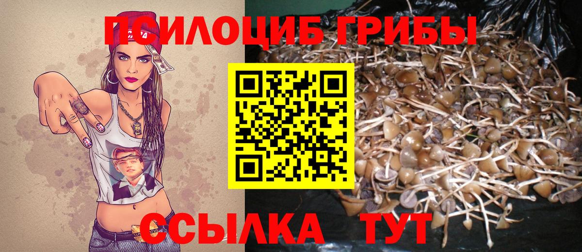 Галлюциногенные грибы мухоморы  Вход с VPN  Малоярославец 